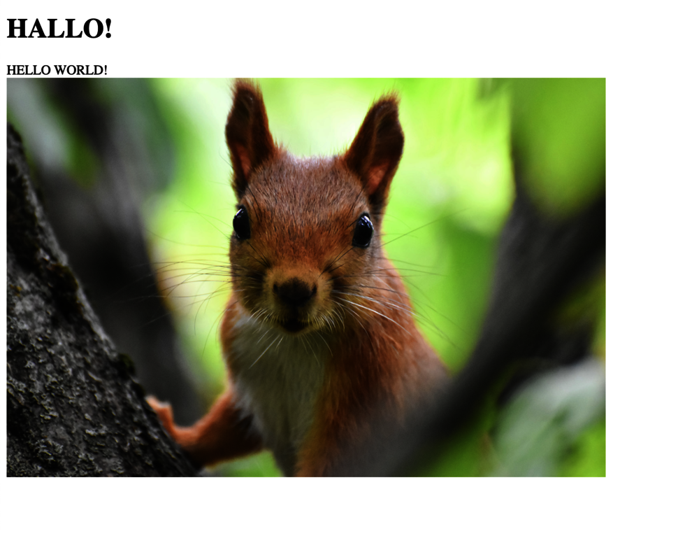 Zu Hallo und Hello World ist nun auch die Abbildung eines Eichhörnchens dazugekommen.