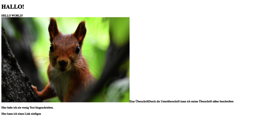 Nun werden auch die anderen befüllten Felder im Frontend gerendert. 