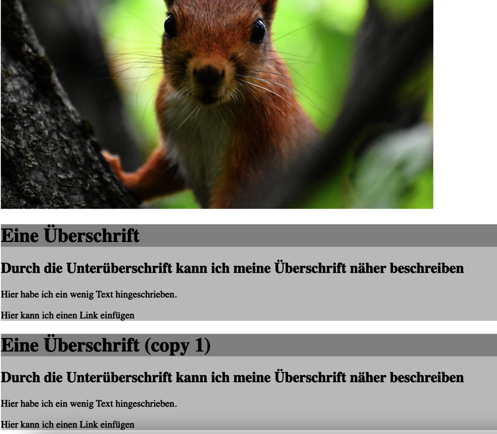 Im Frontend sehen wir nun auch, dass die CSS-Klassen übernommen worden sind. 