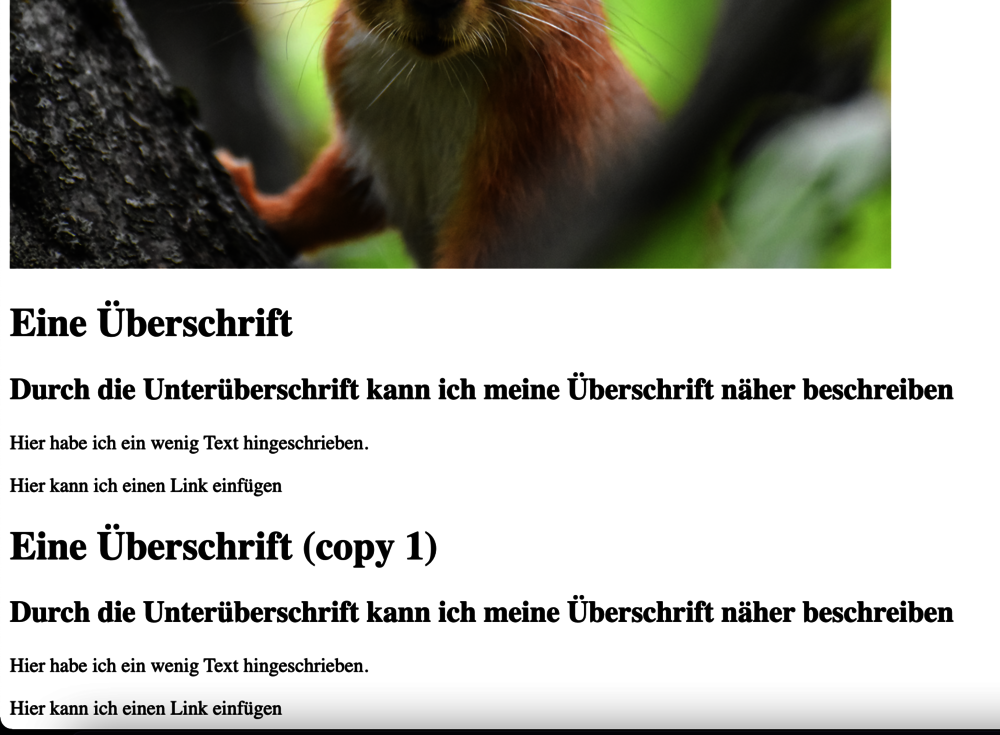 Alle Elemente der Seite mit der ID 1 werden nun im Frontend gerendert. 